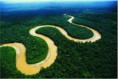 /album/fotogaleria-amazonas2/descarga-5-jpg4/